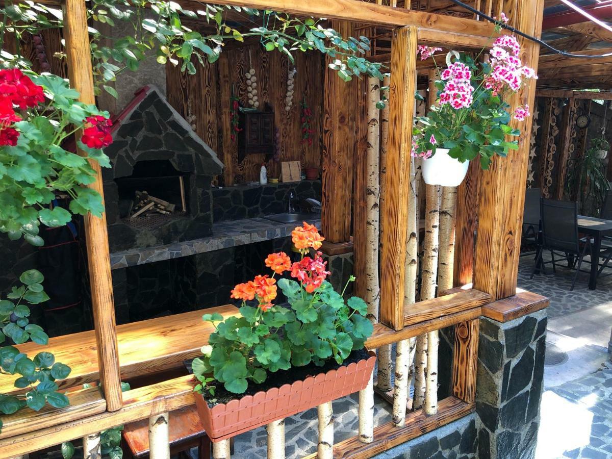 Casa Anina Hotell Exteriör bild